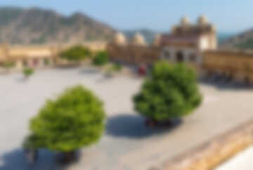 India 2014 - Jaipur 053.jpg